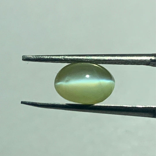Natural Cat's Eye Chrysoberyl – 2.26 Carat (Certified, Untreated) | Astrogems India