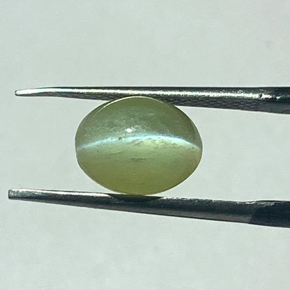 Natural Cat's Eye Chrysoberyl – 3.11 Carat (Certified) | Astrogems India