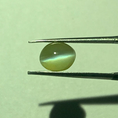 Natural Cat's Eye Chrysoberyl – 2.52 Carat (Certified, Untreated)
