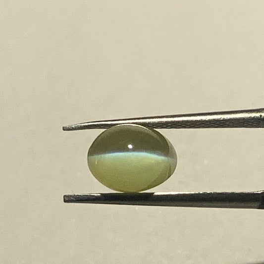 Natural Cat's Eye Chrysoberyl – 2.28 Carat (Certified) | Astrogems India