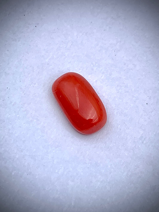 Natural Coral – 6.88 Carats | Oval Cabochon | SKU: LSOOF2CL0ASG0004 | Astrogems India